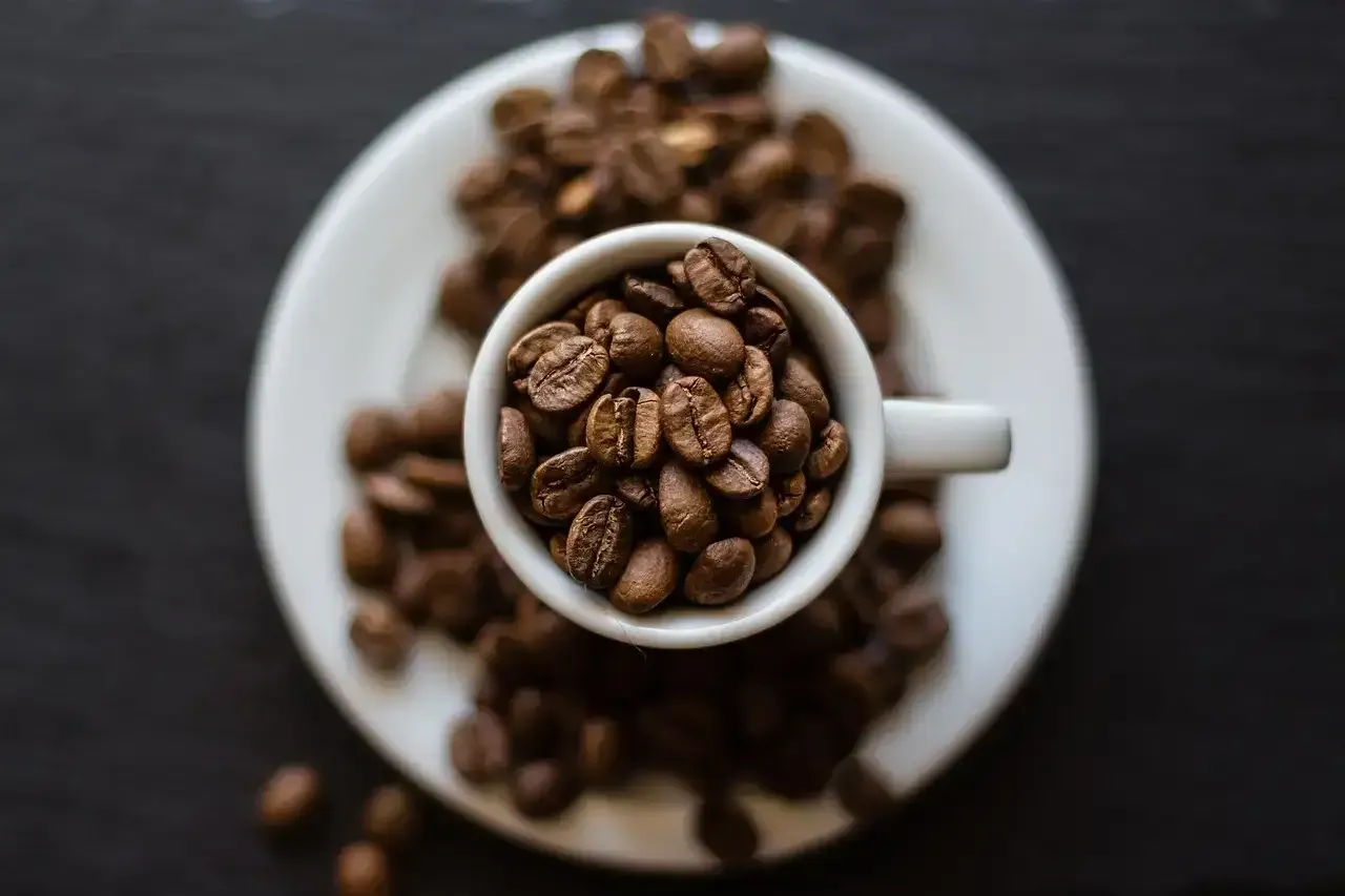 Le café : bon pour son goût et aussi pour notre santé