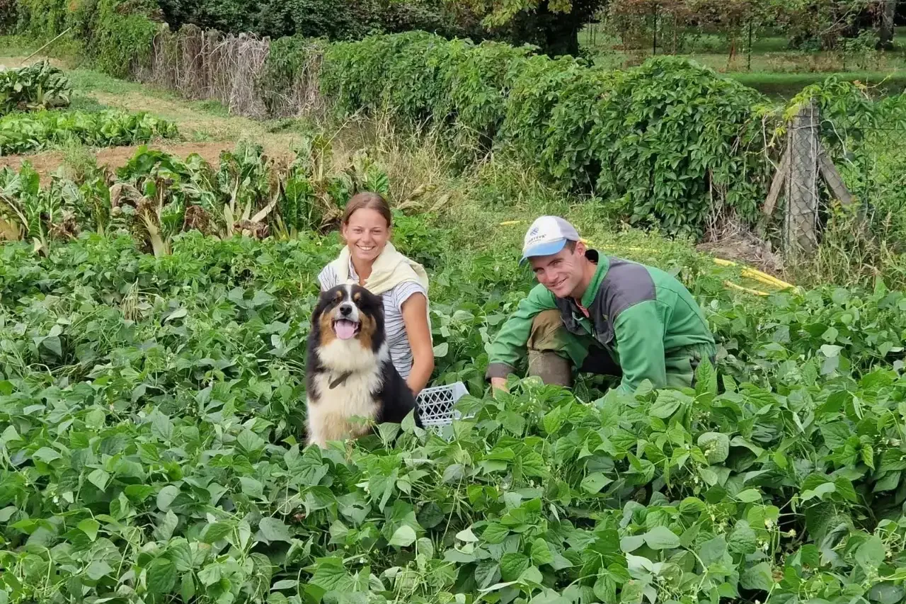 Aux jardins des belles roches, par ici la bonne soupe !