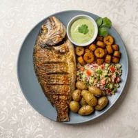 King Daurade Royale - Grande taille