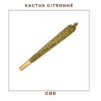 HD Kactus Citron