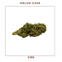 Melon Cake