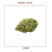 Moby Dick