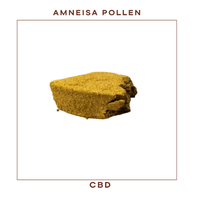 Amnesia Pollen