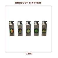 Briquet Matteo