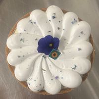 Le SunZest. 4 personnes