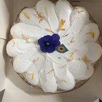 Le SunZest. 8 personnes