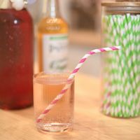 Soda Maison- Dolce : Pêche & Sureau