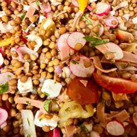 Salade Lenticchie