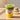 🧊 Iced Matcha Latte Mangue