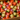 Salade (oignon,concombre,tomate)