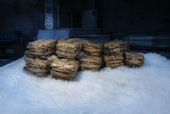 Poissonnerie : prendre les commandes d'huîtres du 24 et du 31