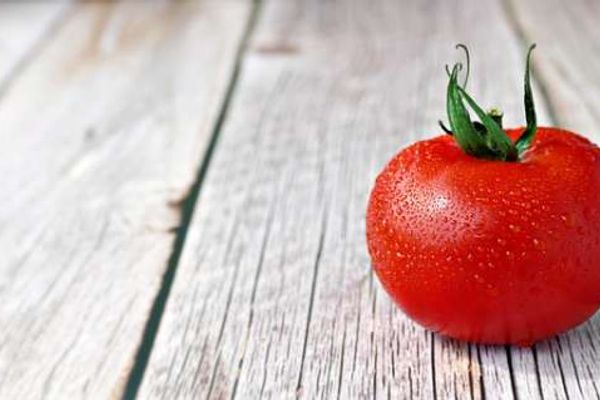 Ketchup à base de tomates fraiches